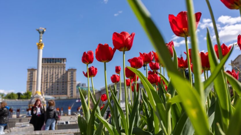 Заморозки в мае, жара и засуха летом: синоптики сказали, к какой погоде готовиться украинцам