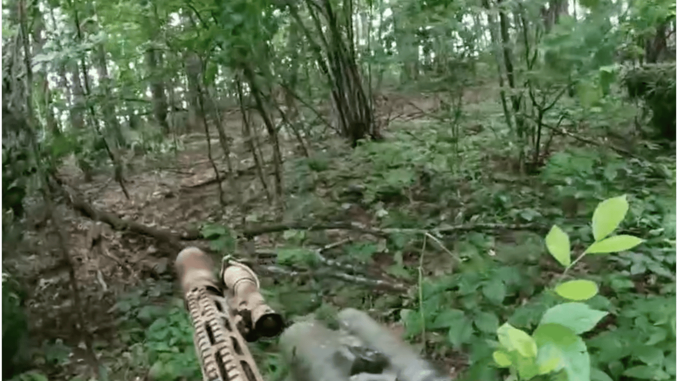 SSO showed a raid on the occupiers' position near the border with Russia